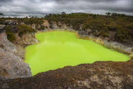 New Zealand 2025 (2 group) (51/84)